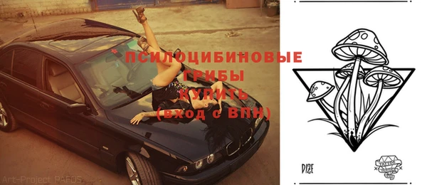 эйфоретик Алзамай