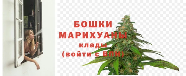 хмурый Семилуки