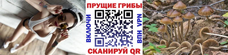 Галлюциногенные грибы Psilocybe  мега ссылки  Качканар 